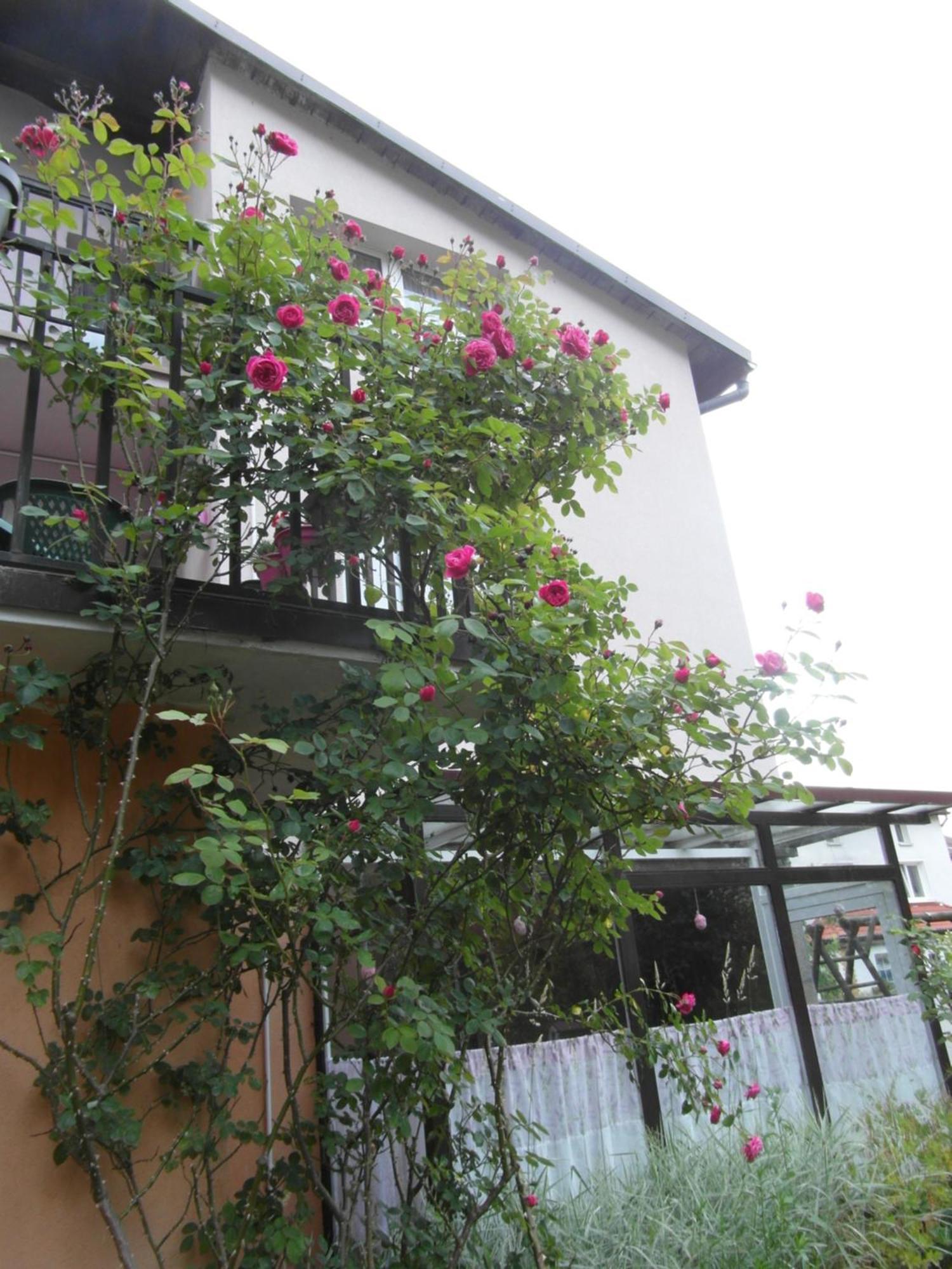 Villa Banita Ustka Exterior foto